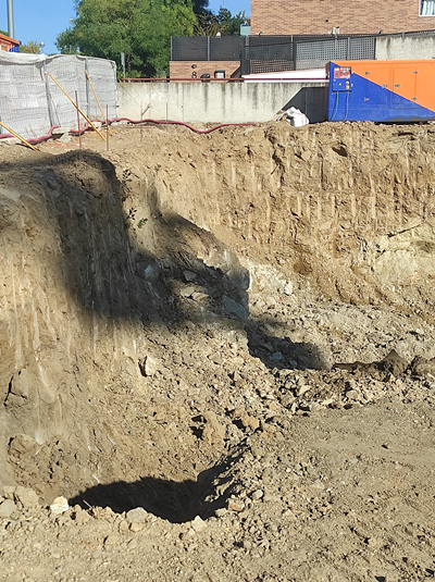 Residencial Adelfillas