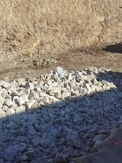 Residencial Adelfillas